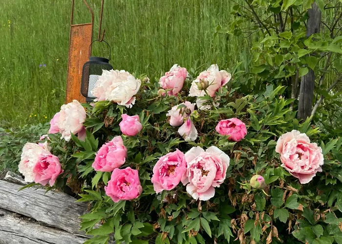 Aegerta Maisonette 公寓 *